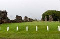 20101201_174129 D3